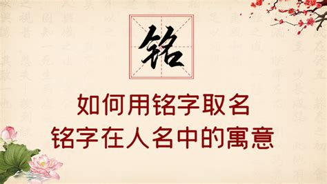 之名字意思|之字取名的寓意